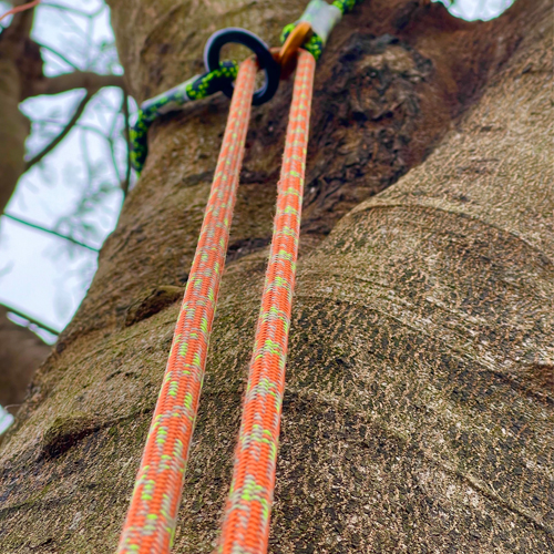 TARZAN-Arborist Rope / kernmantle rope-ROPES & SEMI STATIC ROPES